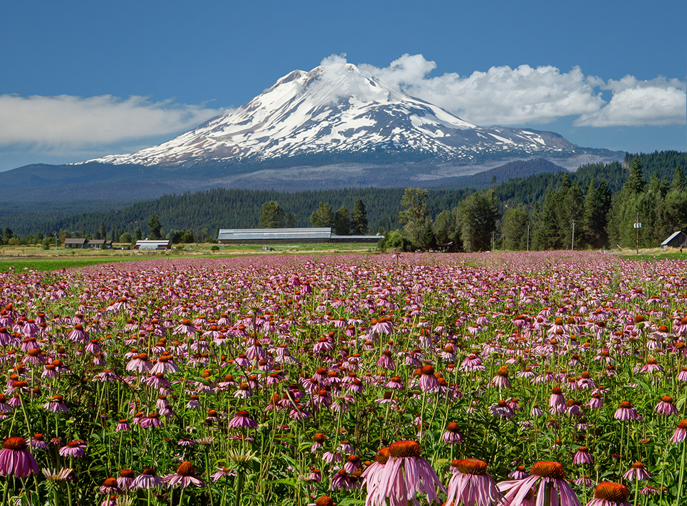 Trout Lake Valley Columbia Land Trust