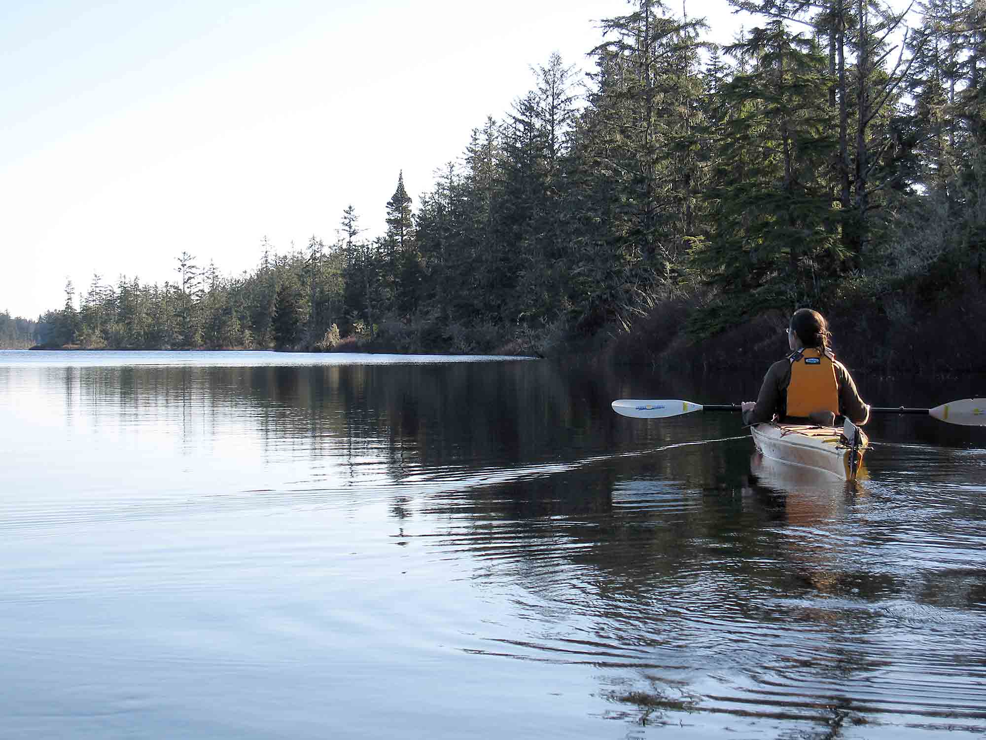 Willapa Bay & Long Beach Peninsula Columbia Land Trust