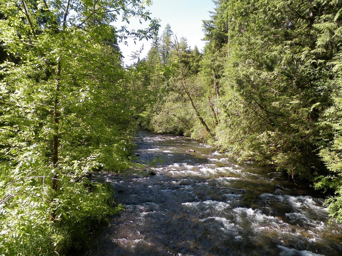 Columbia Land Trust conserves 51 acres on Rock Creek