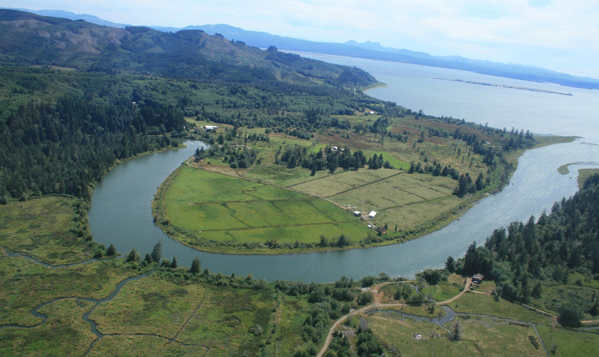 Devil's Elbow Marshes On Columbia Land Trust