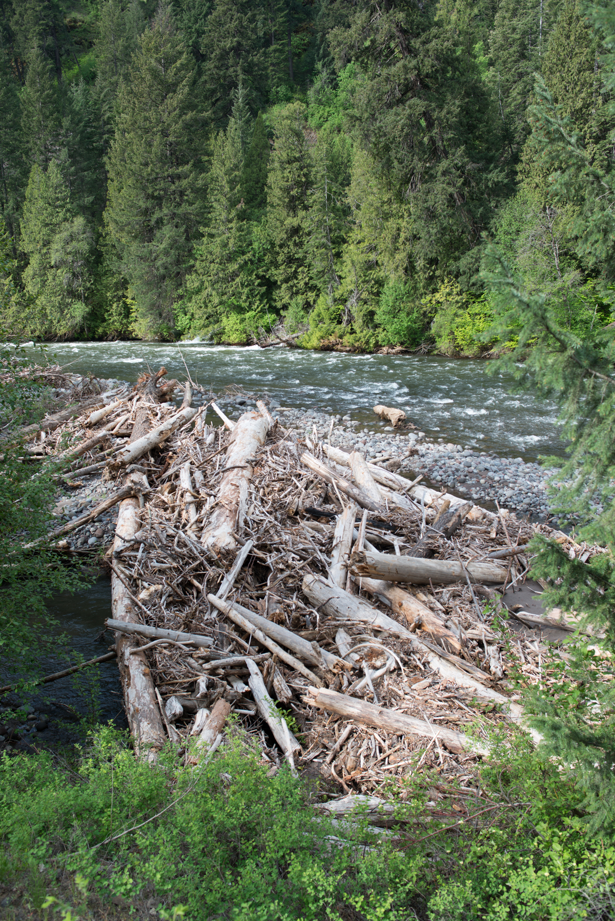 A logjam along the Klickitat River.