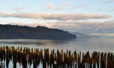 Coast Range & Estuaries