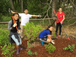 Pleasant Valley Elementary School Wild Side Project. Photo courtesy of David Scharfenberg 