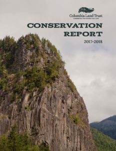 Cover from Conservation Report 1718