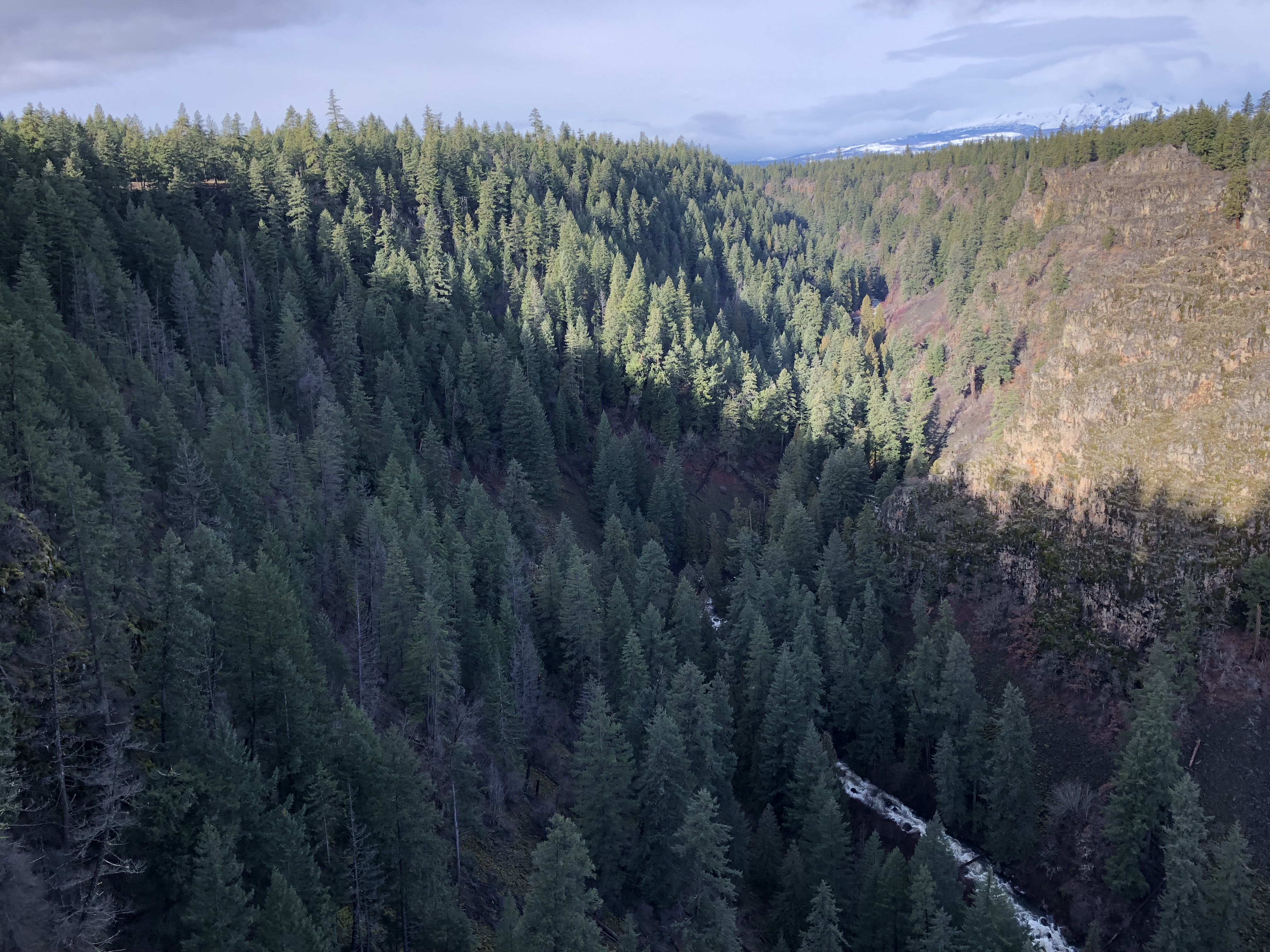 IMG_4620 Columbia Land Trust