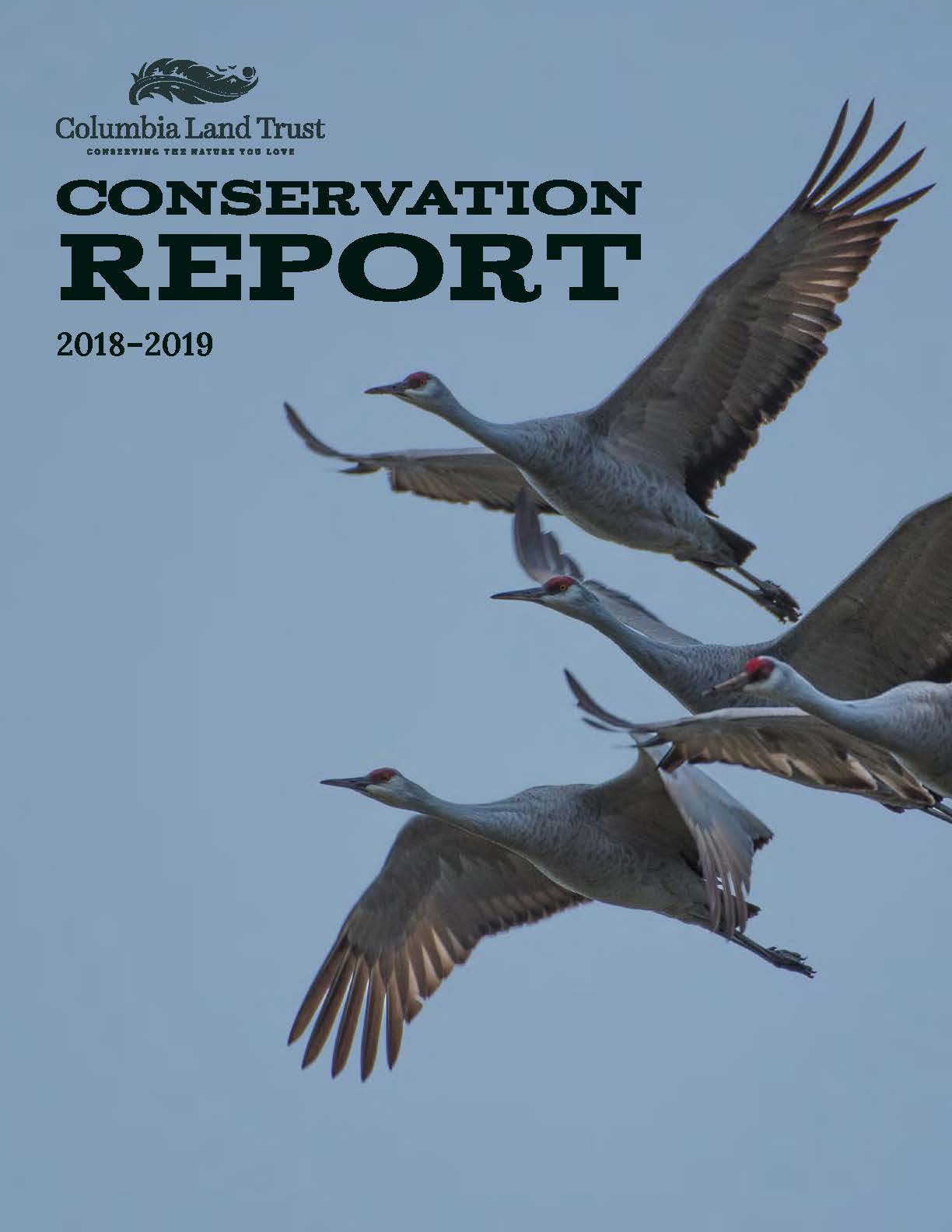 The cover of the 2018-2019 conservation report depicts four sandhill cranes in flight against a blue sky background