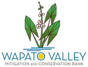 Wapato_Logo