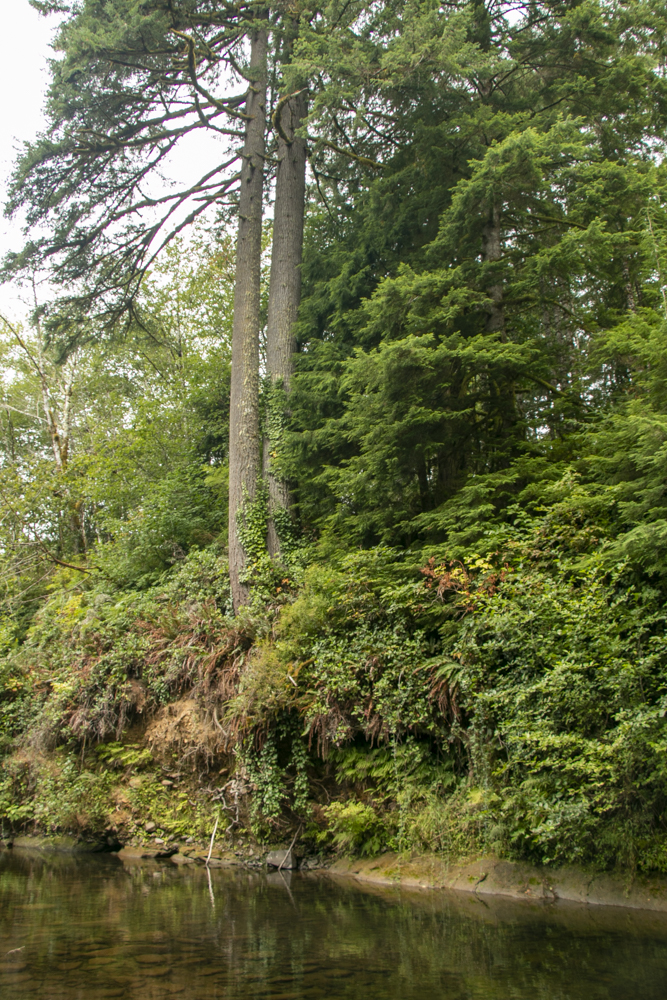 IMG_7223_1 Columbia Land Trust