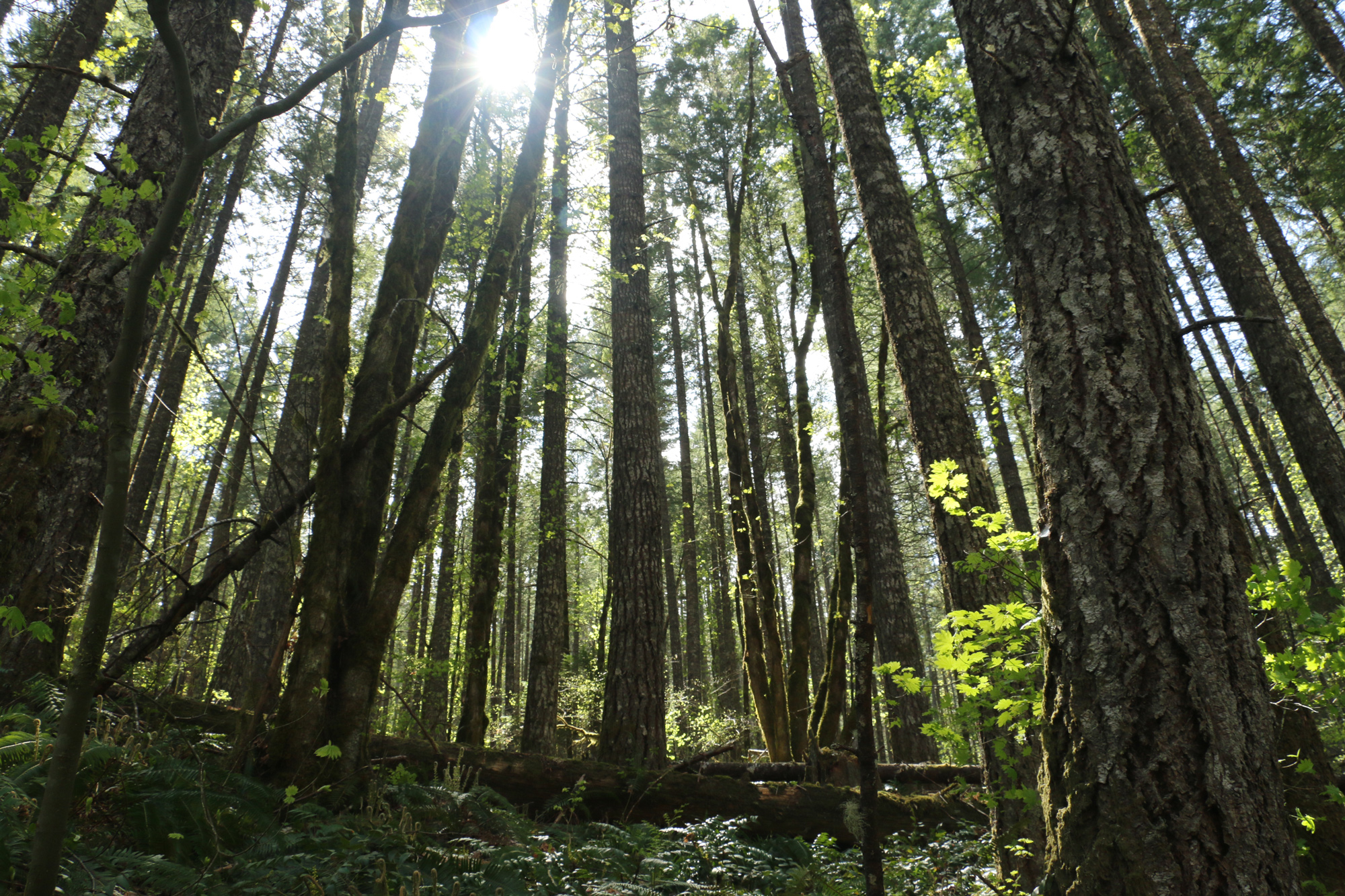Nature Knows Best Columbia Land Trust