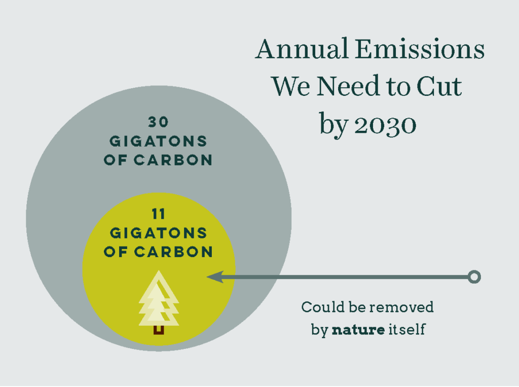 Natural Climate Solutions chart