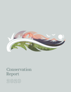 Conservation Report 2020 cover art. Click to access the report.
