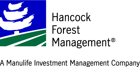 Hancock Forest Management