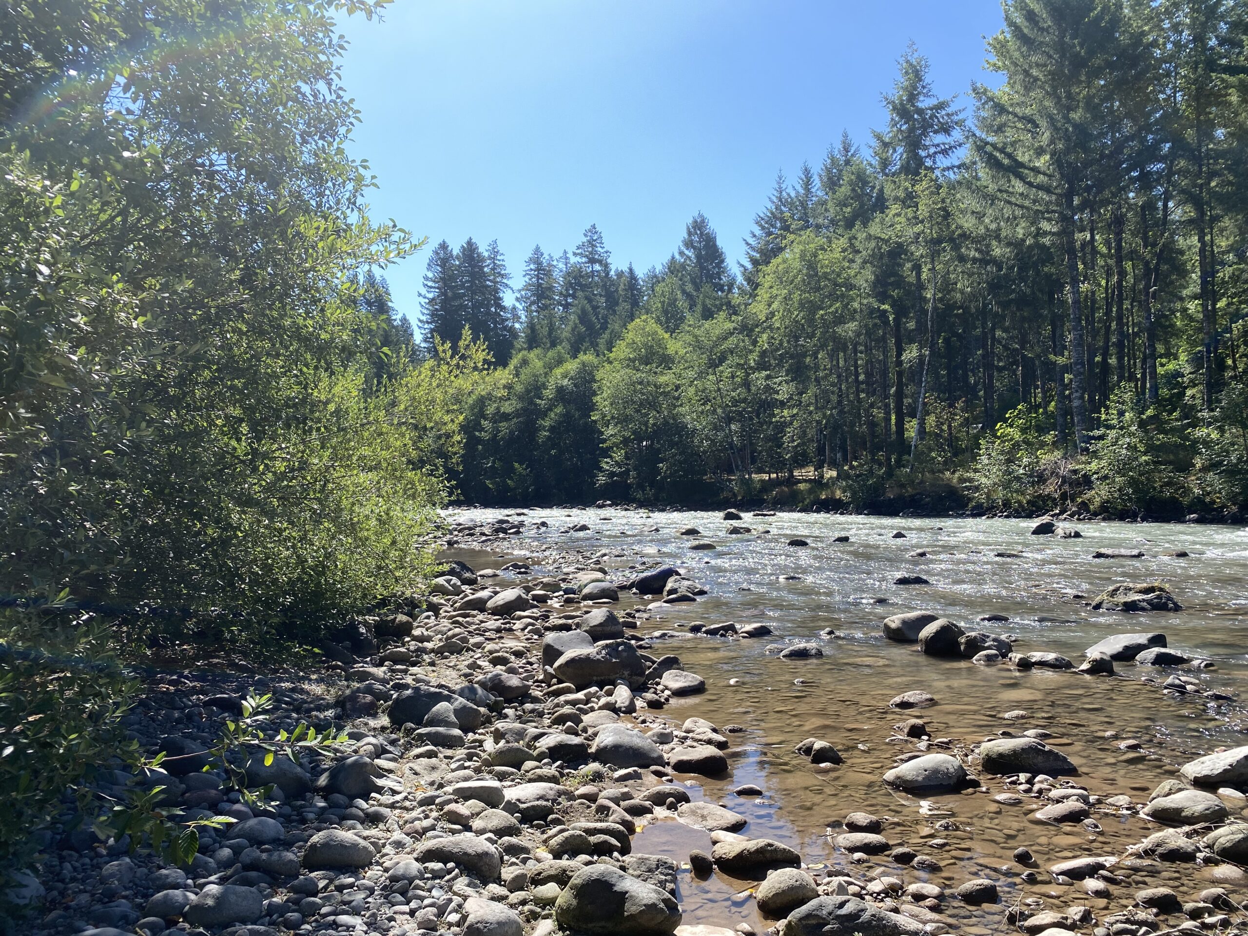 Four Acres Conserved on Sandy River Columbia Land Trust