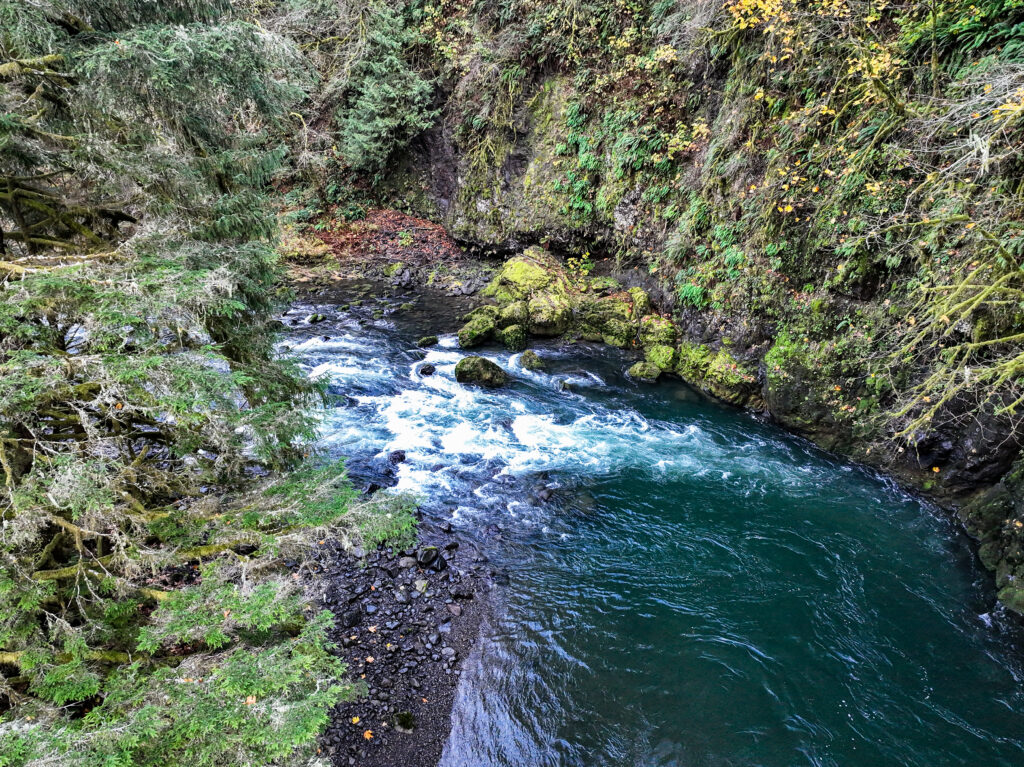 a bend in the Grays River, deep blue water rushing down a stream
