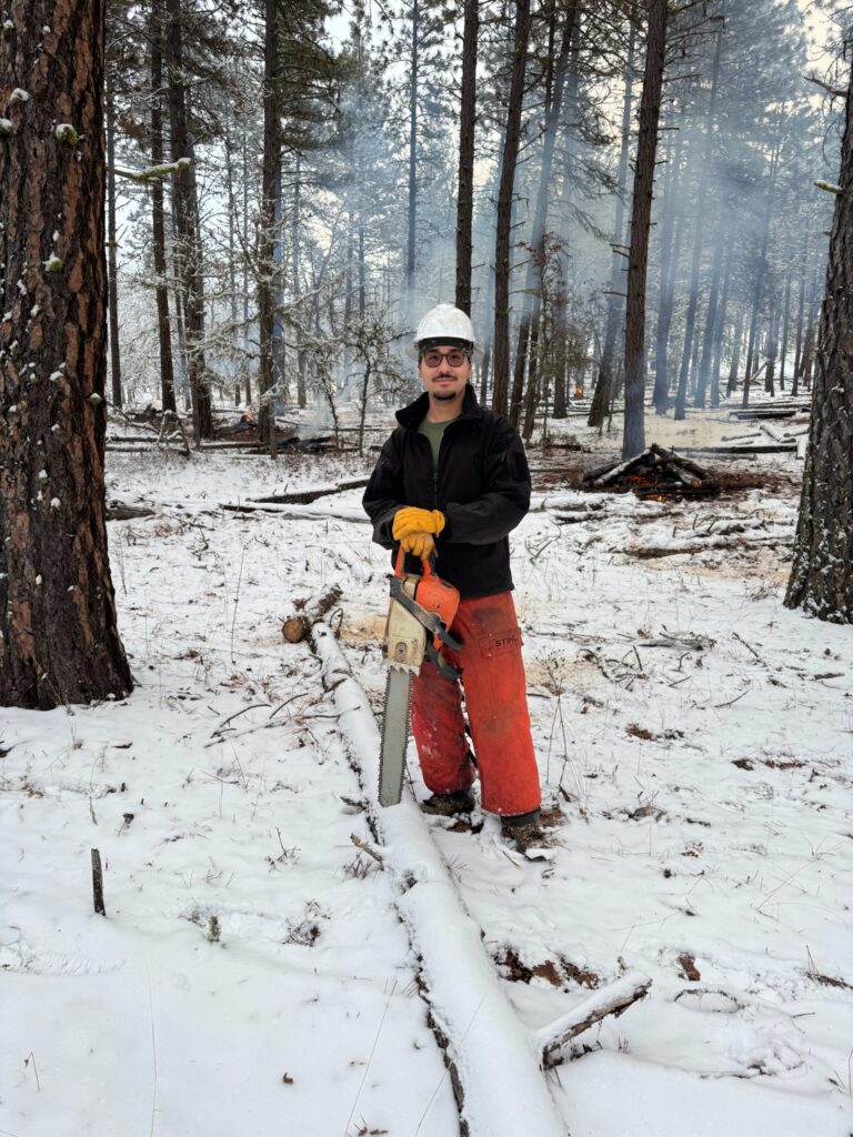a peron in safety equiptment holds a chainsaw standing in a snowy forest