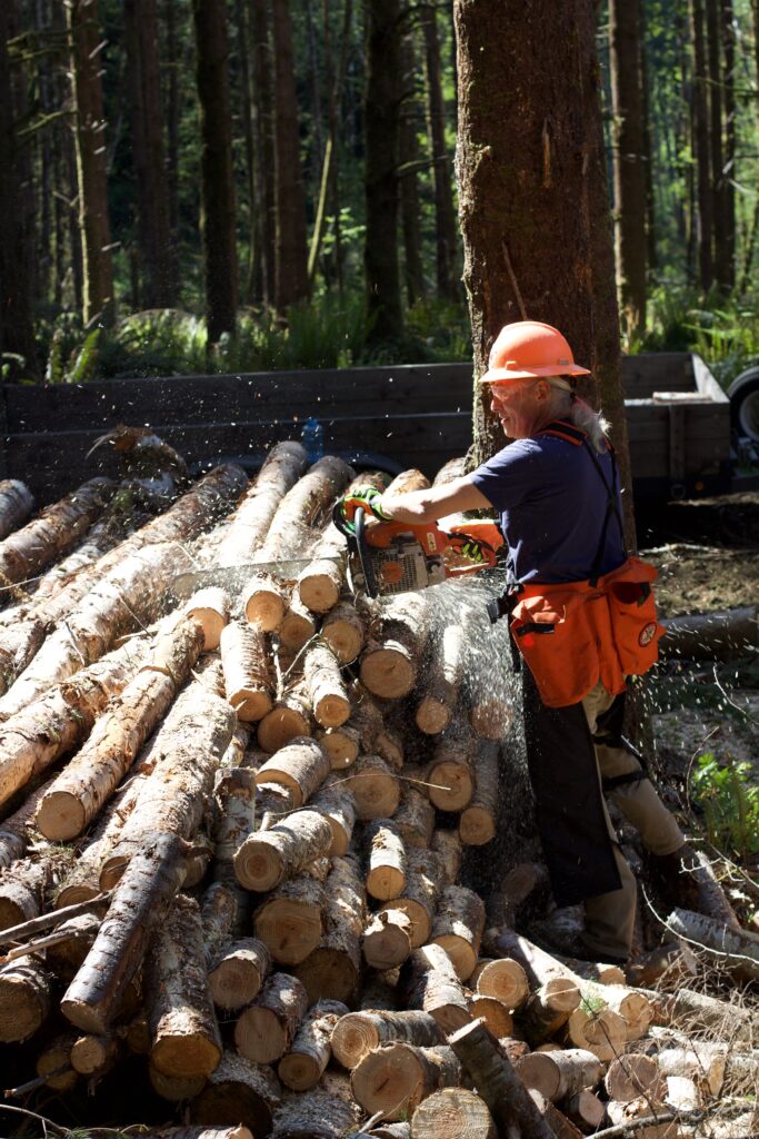 person in safety equiptment including orange hard hat uses a chain saw to cut a piece of wood on top of a wood pile
