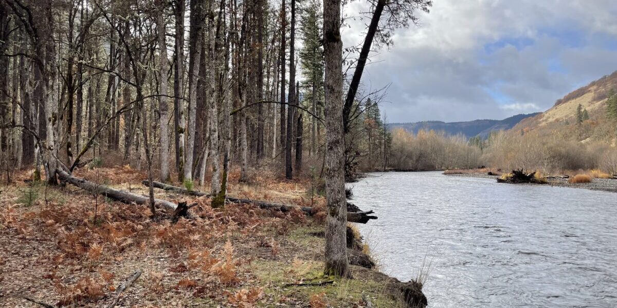 the klickitat river runs through the haul road corridor