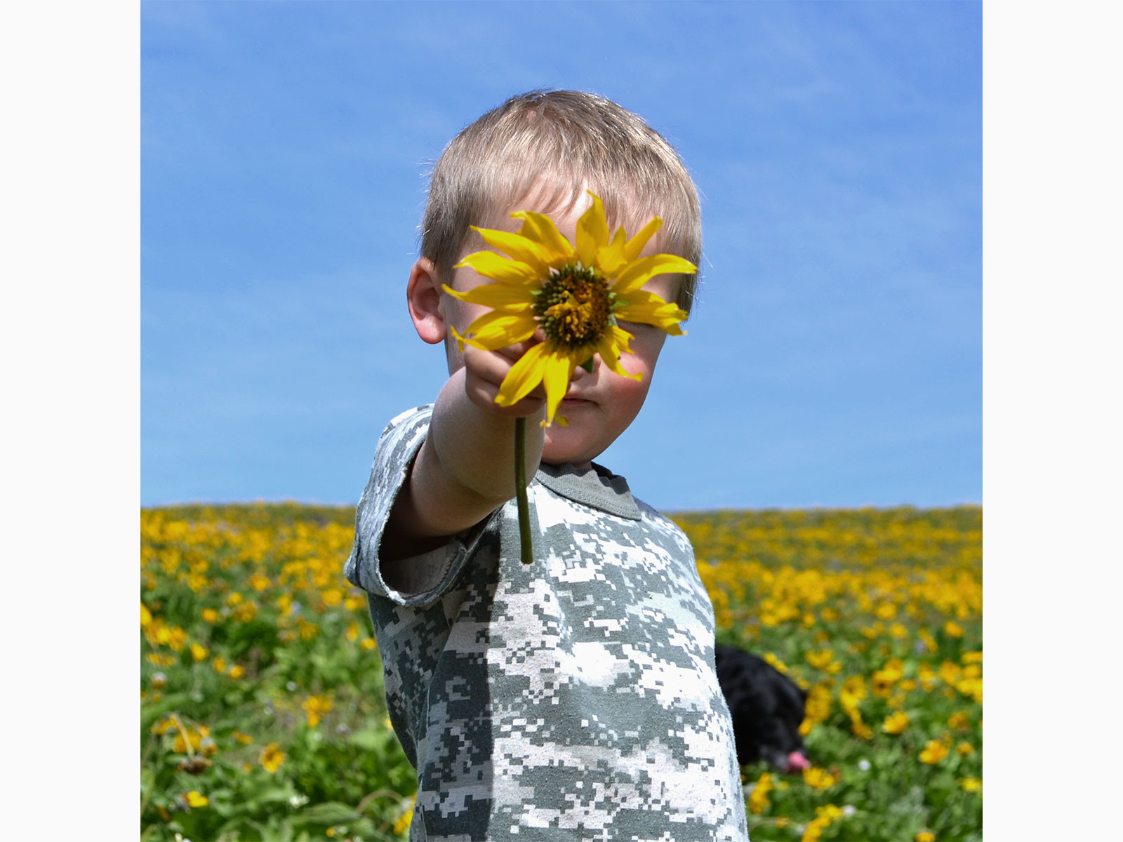 Boy with a sunflower in his hand.