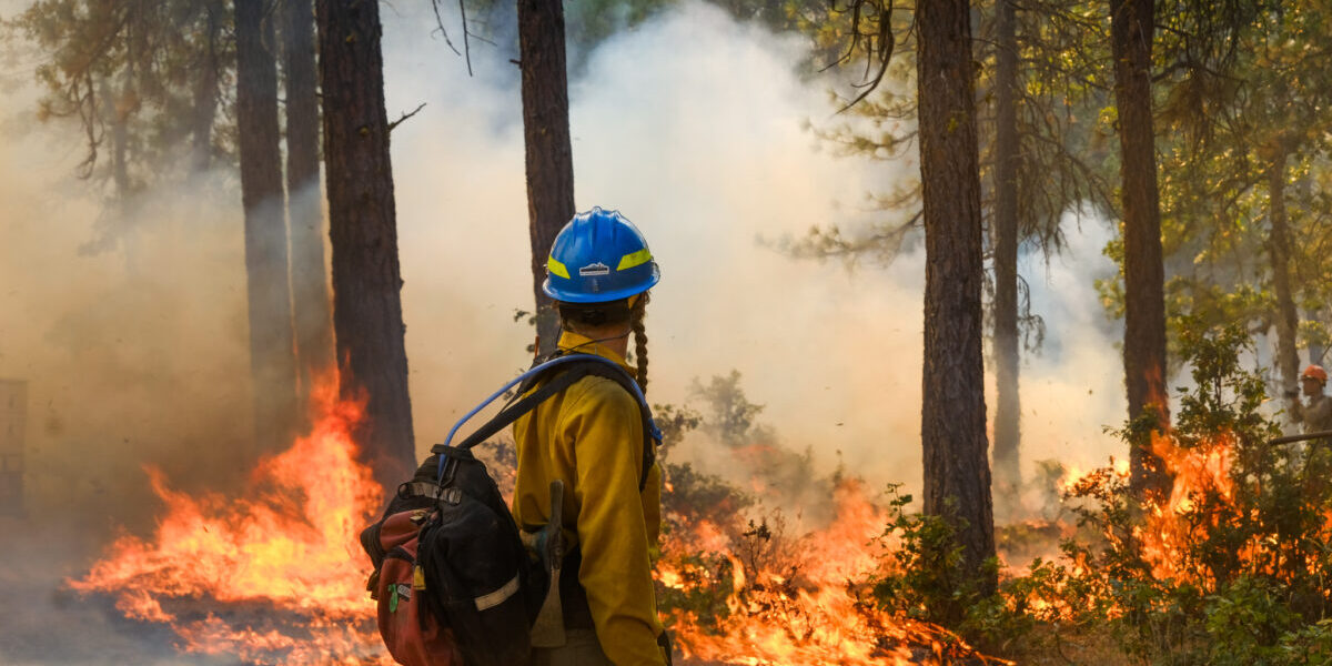 person with long braids, a backpack and blue hard hat watches flames from a prescribed fire burn on the forest floor