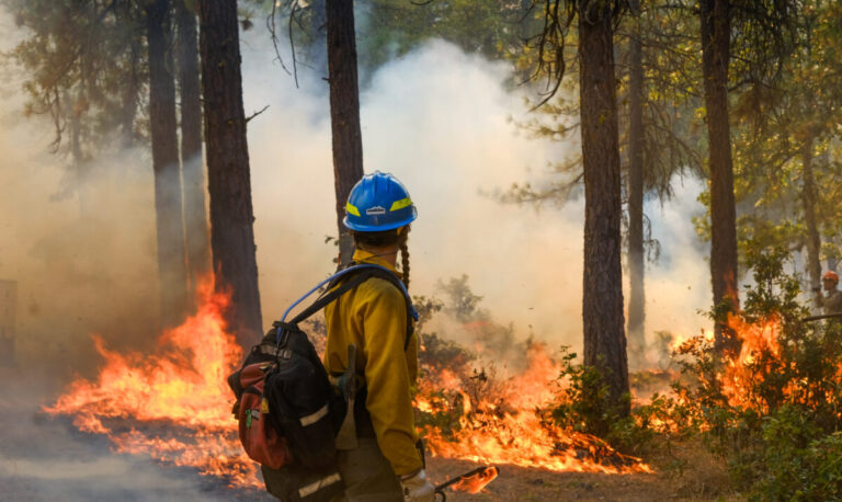 person with long braids, a backpack and blue hard hat watches flames from a prescribed fire burn on the forest floor