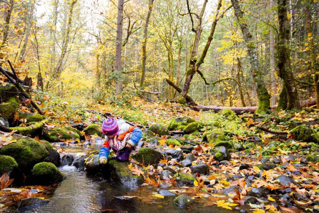 a child in a knit cap and jacket reaches into a small creek in a forest