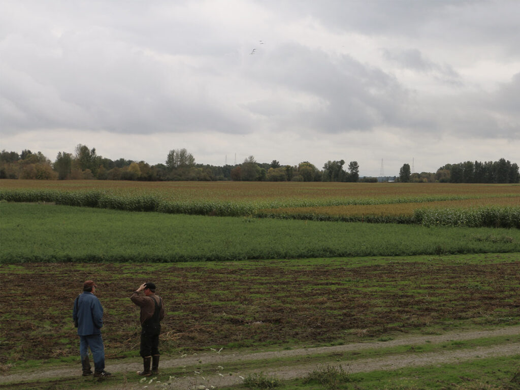 two people look out at a field of craps