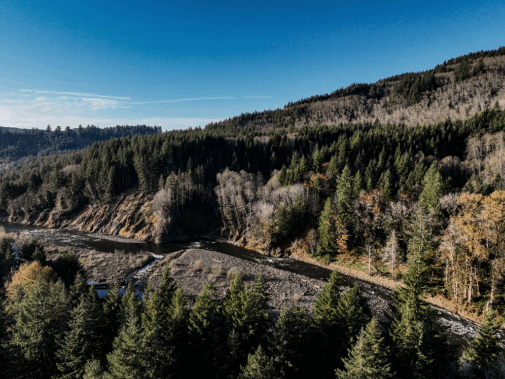 a tributary of the Grays River in Washington runs below a sloped, forested hillside
