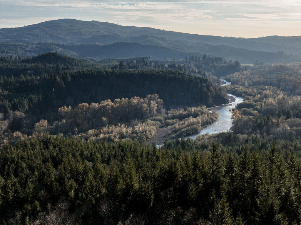 in the distance a river winds through a coastal forest below a layer of hills
