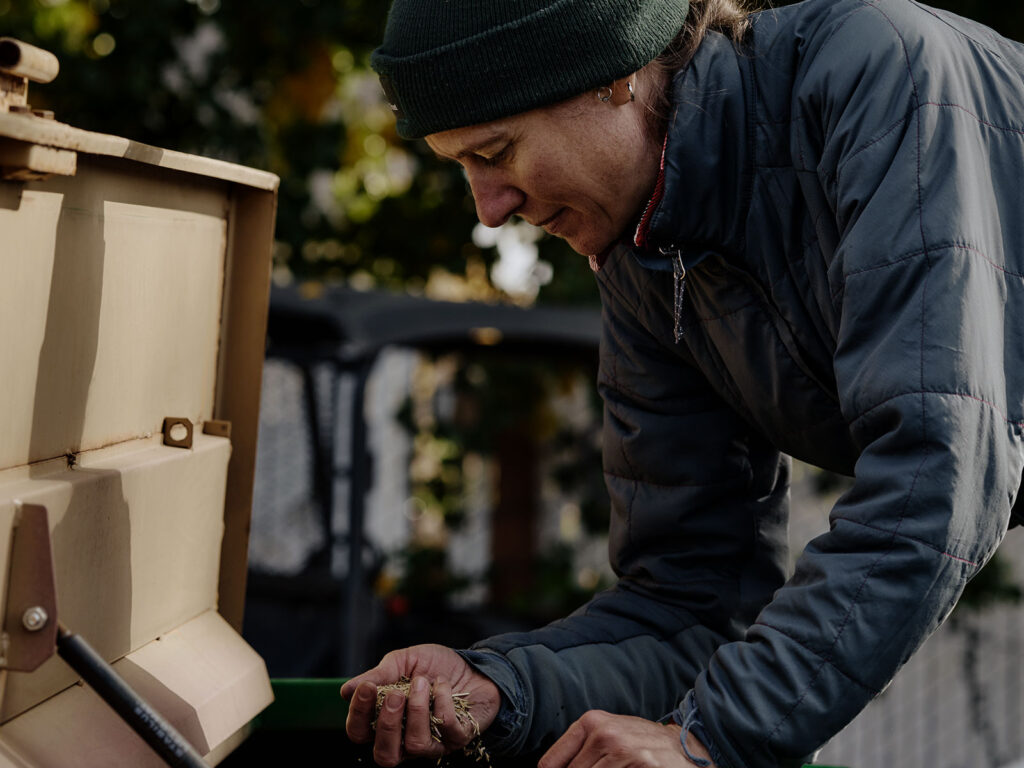 a stewardship staff members examines a handful of native plant seeds