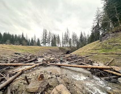 Wildboy Creek Conserved: Columbia Land Trust conserves 1,300 acres of forestland to remove 55-foot dam and free Wildboy Creek in partnership with Cowlitz Indian Tribe.