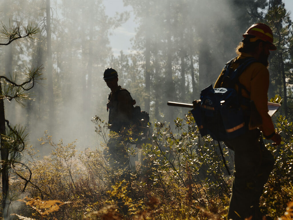 Wildboy Creek Conserved: Columbia Land Trust conserves 1,300 acres of forestland to remove 55-foot dam and free Wildboy Creek in partnership with Cowlitz Indian Tribe.