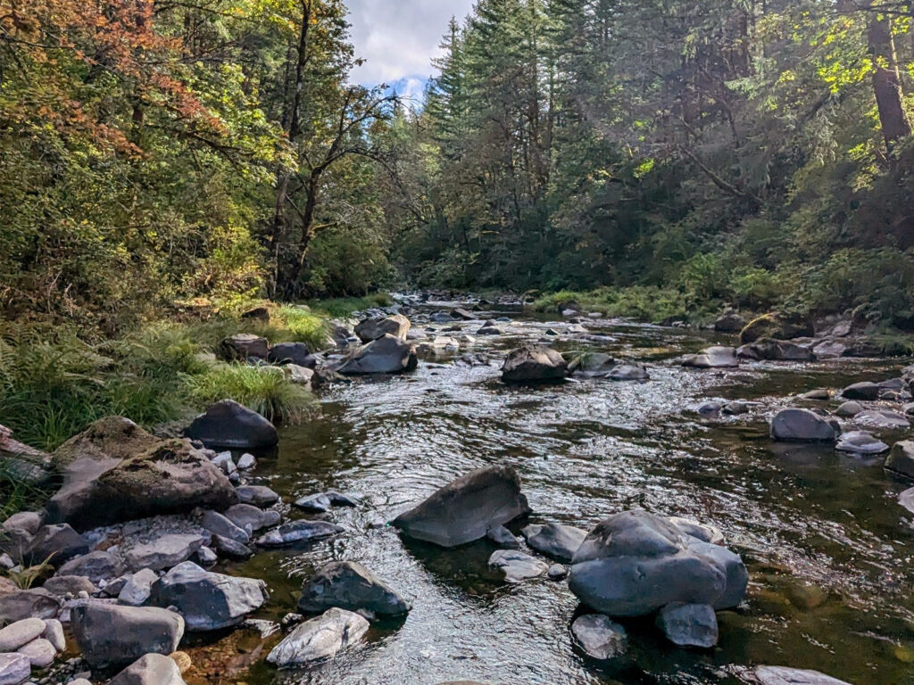 a creek with many rocks in it, in the fall, with the trees on the shore starting to change colors