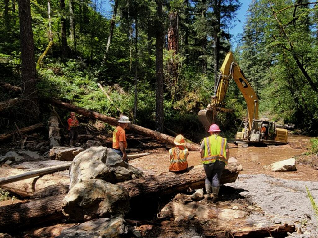 a group of people watch an excavator work in a creek valley