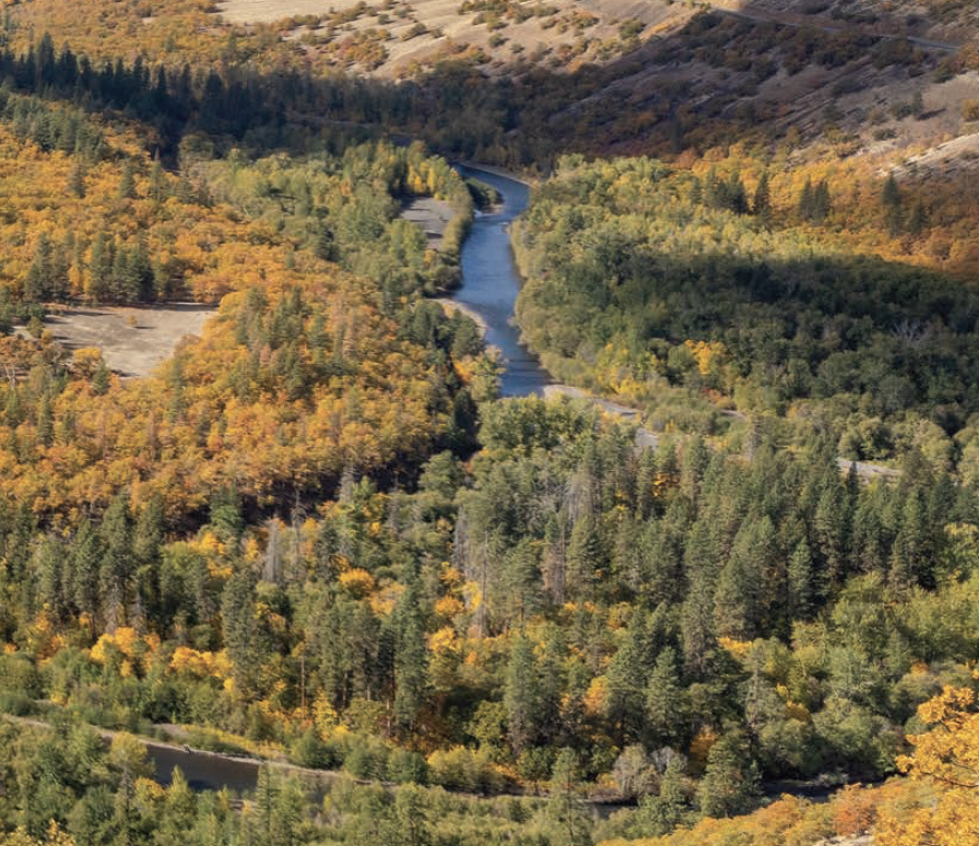 Screenshot 2026-02-12 at 1.15.16 PM