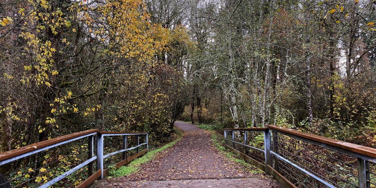 bridge along lacamas creek trail in the fall