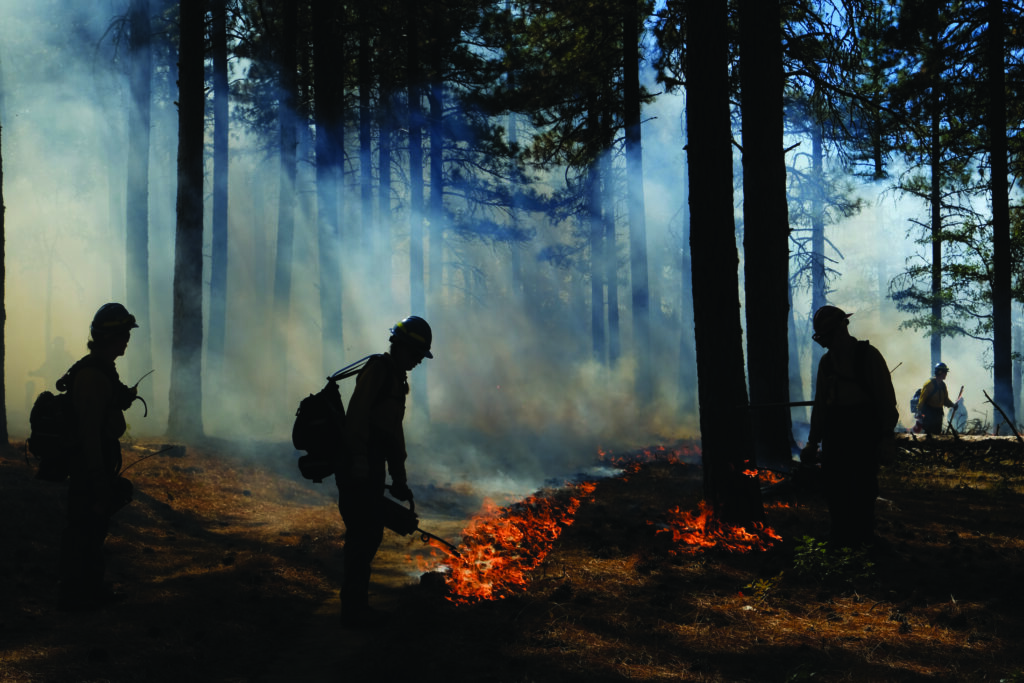 shadowy human figures work on a small fire in a prescribed burn area with smoke drifting around them